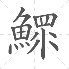 鰥的部首 鰥的部首