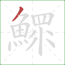 鰥的笔顺第1画:撇 鰥的笔顺第1画:撇