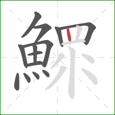 鰥的笔顺第14画:竖 鰥的笔顺第14画:竖