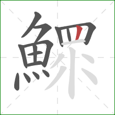 鰥的笔顺第15画:竖 鰥的笔顺第15画:竖