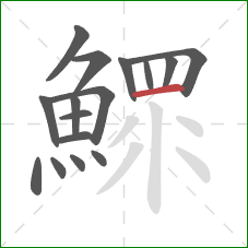 鰥的笔顺第16画:横 鰥的笔顺第16画:横