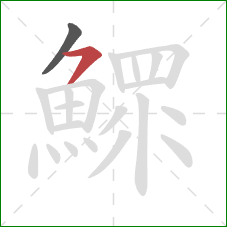 鰥的笔顺第2画:横撇 鰥的笔顺第2画:横撇