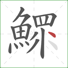 鰥的笔顺第20画:点 鰥的笔顺第20画:点