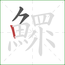 鰥的笔顺第3画:竖 鰥的笔顺第3画:竖