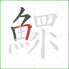 鰥的笔顺第4画:横折 鰥的笔顺第4画:横折