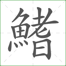 鰭的部首 鰭的部首