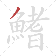 鰭的笔顺第1画:撇 鰭的笔顺第1画:撇