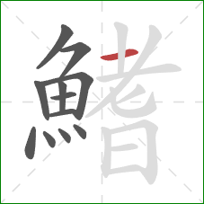 鰭的笔顺第12画:横 鰭的笔顺第12画:横