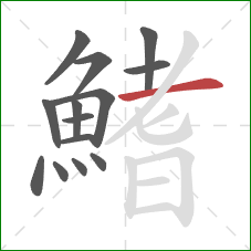 鰭的笔顺第14画:横 鰭的笔顺第14画:横