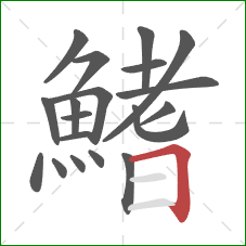 鰭的笔顺第19画:横折 鰭的笔顺第19画:横折