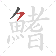 鰭的笔顺第2画:横撇 鰭的笔顺第2画:横撇