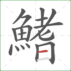 鰭的笔顺第20画:横 鰭的笔顺第20画:横