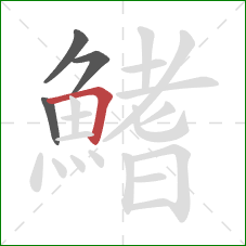 鰭的笔顺第4画:横折 鰭的笔顺第4画:横折