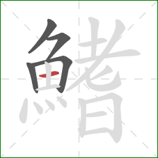 鰭的笔顺第5画:横 鰭的笔顺第5画:横