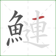 鰱的笔顺第12画:横 鰱的笔顺第12画:横