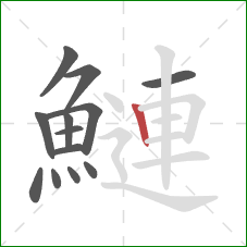 鰱的笔顺第13画:竖 鰱的笔顺第13画:竖