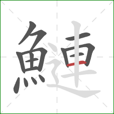 鰱的笔顺第16画:横 鰱的笔顺第16画:横