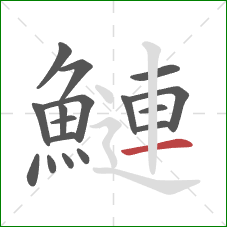 鰱的笔顺第17画:横 鰱的笔顺第17画:横