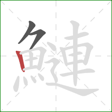 鰱的笔顺第3画:竖 鰱的笔顺第3画:竖