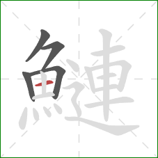 鰱的笔顺第5画:横 鰱的笔顺第5画:横