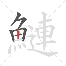 鰱的笔顺第6画:竖 鰱的笔顺第6画:竖