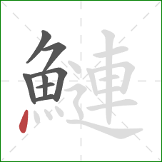 鰱的笔顺第8画:点 鰱的笔顺第8画:点