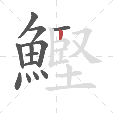 鰹的笔顺第13画：竖