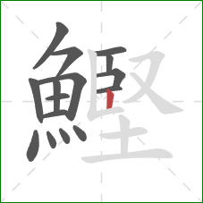 鰹的笔顺第16画：竖