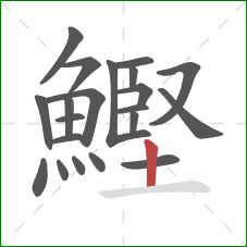 鰹的笔顺第21画：竖