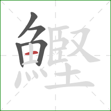 鰹的笔顺第5画：横