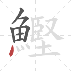 鰹的笔顺第8画：点