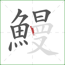 鰻的笔顺第16画:竖 鰻的笔顺第16画:竖