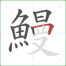 鰻的笔顺第17画:横折 鰻的笔顺第17画:横折
