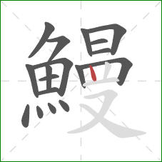 鰻的笔顺第18画:竖 鰻的笔顺第18画:竖