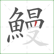 鰻的笔顺第19画:竖 鰻的笔顺第19画:竖