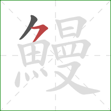 鰻的笔顺第2画:横撇 鰻的笔顺第2画:横撇