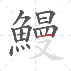 鰻的笔顺第20画:横 鰻的笔顺第20画:横