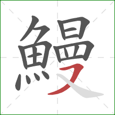 鰻的笔顺第21画:横撇 鰻的笔顺第21画:横撇