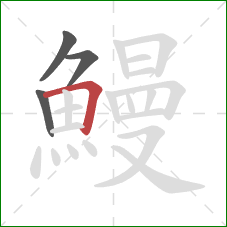 鰻的笔顺第4画:横折 鰻的笔顺第4画:横折