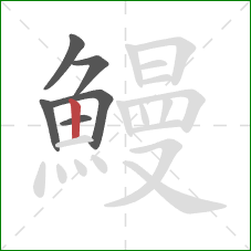 鰻的笔顺第6画:竖 鰻的笔顺第6画:竖
