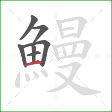 鰻的笔顺第7画:横 鰻的笔顺第7画:横