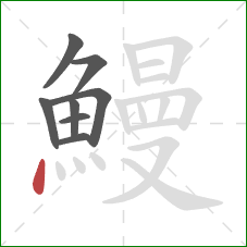 鰻的笔顺第8画:点 鰻的笔顺第8画:点