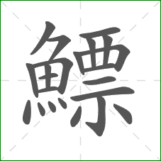 鰾的部首 鰾的部首