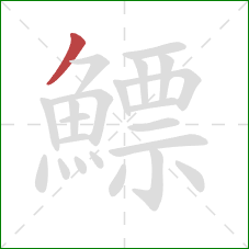 鰾的笔顺第1画:撇 鰾的笔顺第1画:撇