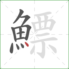 鰾的笔顺第11画:点 鰾的笔顺第11画:点