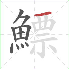 鰾的笔顺第12画:横 鰾的笔顺第12画:横