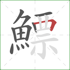 鰾的笔顺第14画:横折 鰾的笔顺第14画:横折