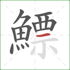 鰾的笔顺第18画:横 鰾的笔顺第18画:横