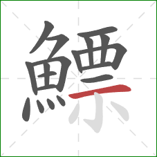 鰾的笔顺第19画:横 鰾的笔顺第19画:横