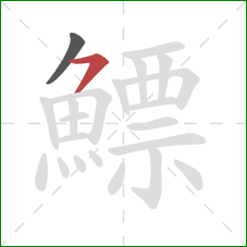 鰾的笔顺第2画:横撇/横钩 鰾的笔顺第2画:横撇/横钩